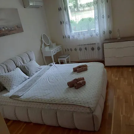 Cosy برافيتس