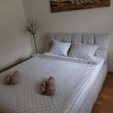 Cosy *
